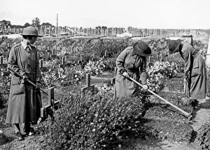 The Women's Army Auxiliary Corps gardeners seen here tending the graves of our fallen The Women's Army Auxiliary Corps gardeners seen here tending the graves of our fallen