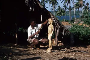 Woodcarver working on statue Mombasa Kenya Africa Woodcarver working on statue Mombasa Kenya Africa