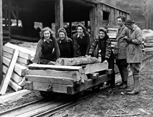 World War Two - Second World War - Girls of the Callay Sawmills have another load of pit World War Two - Second World War - Girls of the Callay Sawmills have another load of pit