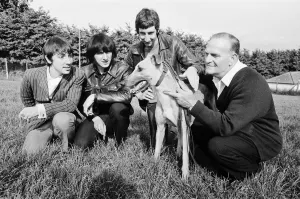 The world's fastest greyhound and favourite for the greyhound derby Yellow Printer The world's fastest greyhound and favourite for the greyhound derby Yellow Printer