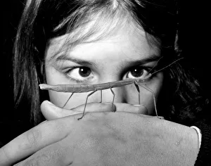 Eight year old Claire Barton of Tankerton, Kent with her pet stick insect Twiggy Eight year old Claire Barton of Tankerton, Kent with her pet stick insect Twiggy