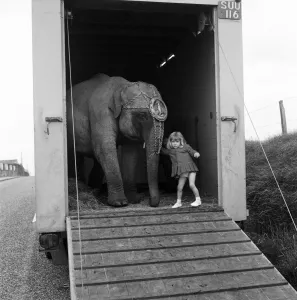 Three year old Juanita Jahn, daughter of Harry Jahn, elephant trainer with Billy Smarts Three year old Juanita Jahn, daughter of Harry Jahn, elephant trainer with Billy Smarts