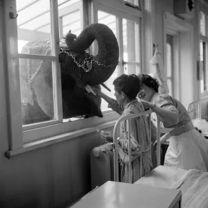 Three year old Juanita Jahn (not pictured), daughter of Harry Jahn Three year old Juanita Jahn (not pictured), daughter of Harry Jahn