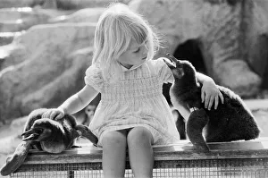 Young Kirsten Ogilvie with two baby penguins at the Cotswold WildLife Park in Oxfordshire Young Kirsten Ogilvie with two baby penguins at the Cotswold WildLife Park in Oxfordshire