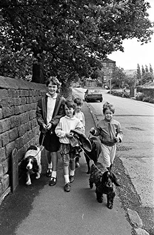 These youngsters decided take the dogs for a walk-for cash These youngsters decided take the dogs for a walk-for cash