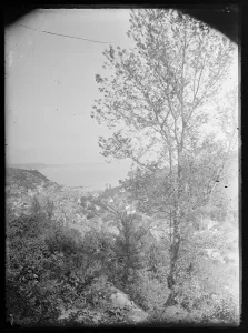 Raddy Collection Images Prints: Looe & The Bay, general view from West Looe Downs