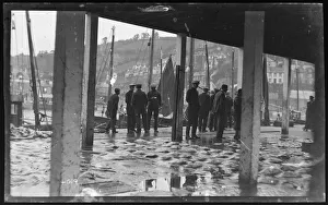 East Looe Fish Market, fish laid out for sale East Looe Fish Market, fish laid out for sale