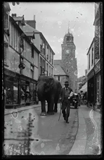 box 3 054 138/fore st east looe circus elephant