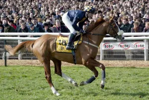 Newlands Gold Print, Cheltenham Festival 2003