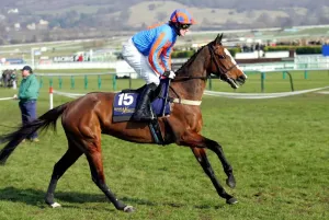 Cheltenham Racecourse Images Prints: Refinement