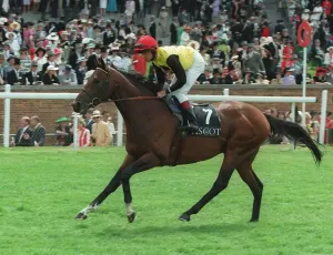 Print of Restructure, a horse ridden by Paul Eddery