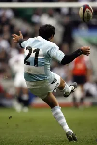 England V Argentina Rugby Prints: Federico Todeschini