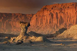 Desert Light Desert Light
