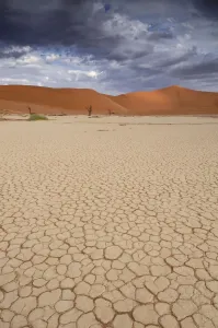 Namibia Prints: Dead Vlei Print, Namib Naukluft National Park Landscape