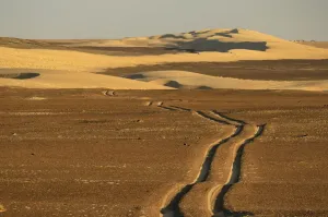 Desert Landscape Print with Car Ruts near Serra Cafema Camp