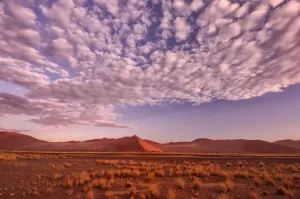 Desert Sand Dunes Print, Sossusvlei Landscape