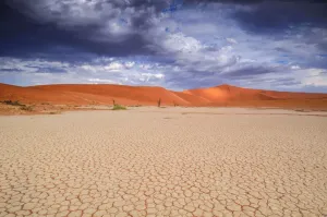 Namibia Prints: Sossusvlei Sand Dunes Print