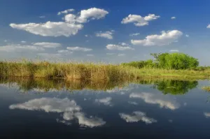 Kwando River Print near Susuwe Island Lodge, Namibia