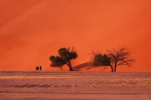 Namibia People Walking at Sand Dune 45 Print