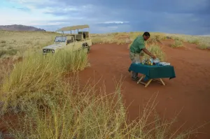 Safari Sundowner Print, Wolwedans Lodge
