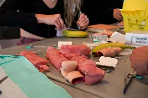Sewing Workshop Print: 5th Year Students Practicing Suturing Techniques