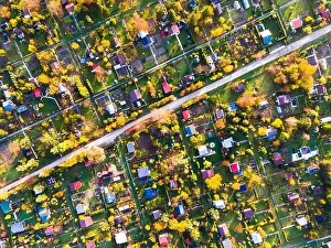Autumn Garden Plot Print