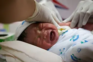 A Baby Cries Through Immunization Print