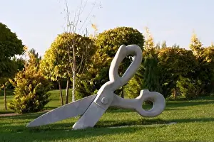 Big Scissors Print in Park on Grass
