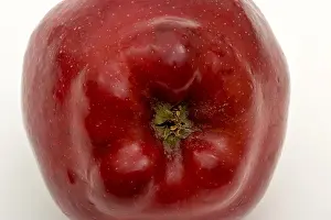 Apple Print - Bottom of a Bright Red Apple