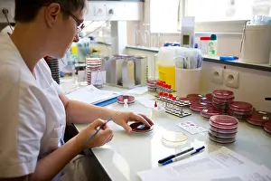 Coagulase Test Print: Identifying Golden Staph in Parisian Laboratory