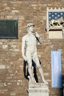 Michelangelos David Print, Palazzo Vecchio Museum
