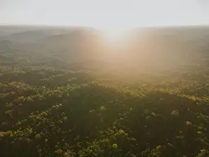 Amazonas Hilly Area Print