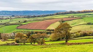 Devon Landscape Print in Autumn Colors
