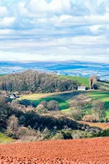 Devon Landscape Print, Fields and Farmlands in Spring