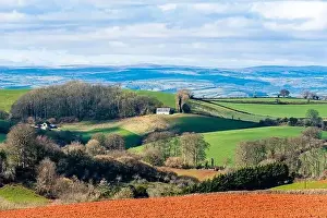 Devon Spring Fields Print from a Drone