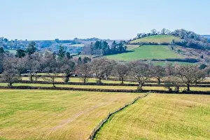 Devon Spring Landscape Print