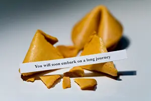 Fortune Cookies Print with Long Journey Message
