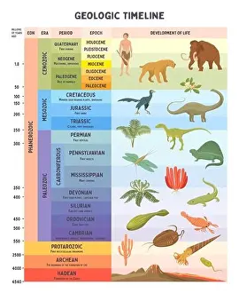 Geologic Timeline Print