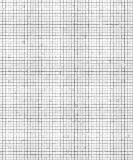 Graph Paper Print with Grid Pattern