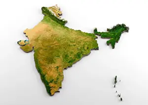 India 3D Physical Map with Relief Print