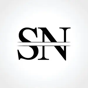 Initial Letter SN Logo Design Vector Print Template