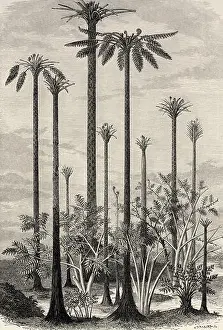 Primitive Landscape Print, 19th Century Engraving