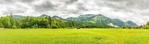 Alpine Mountain Field Landscape Print