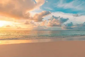 Closeup Sea Sand Beach Print