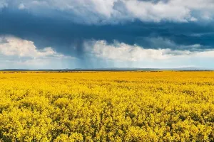 Dramatic Storm Clouds Print