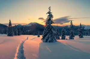 Winter Landscape Print - Carpathian Mountains Scene