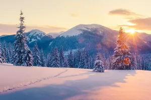 Winter Landscape Print of Snowy Trees in the Carpathian Mountains