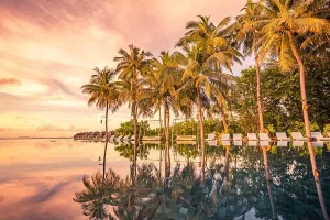 Infinity Pool Reflection Print