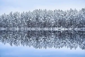 Winter Lake Landscape Print with Snowy Reflection