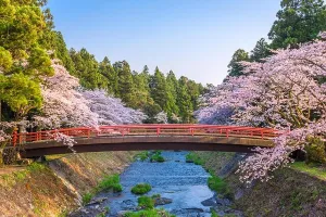 Shizuoka Japan Spring Landscape Print